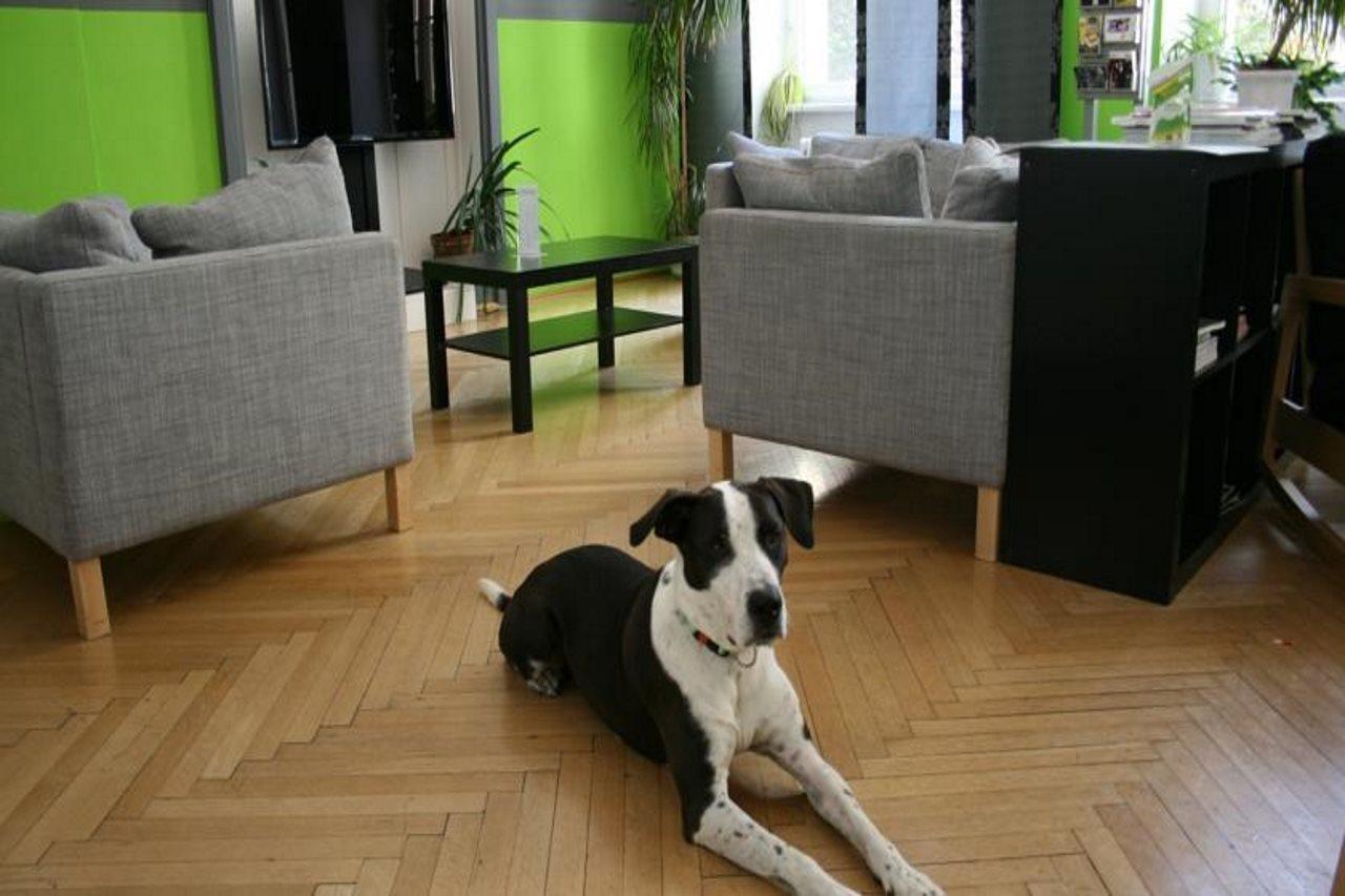 Hostel & Guesthouse Kaiser 23 Wien Exteriör bild